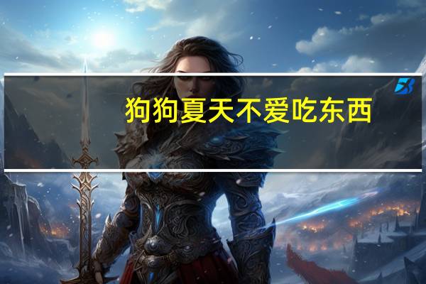 狗狗夏天不爱吃东西