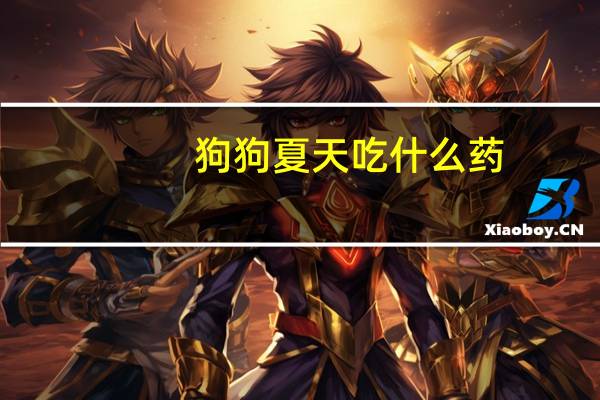 狗狗夏天吃什么药