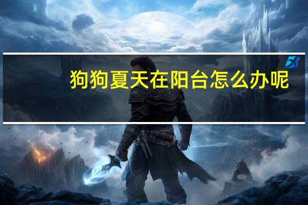 狗狗夏天在阳台怎么办呢