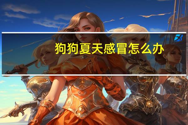 狗狗夏天感冒怎么办