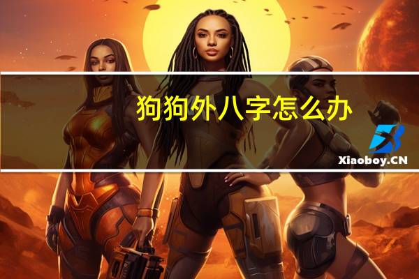 狗狗外八字怎么办