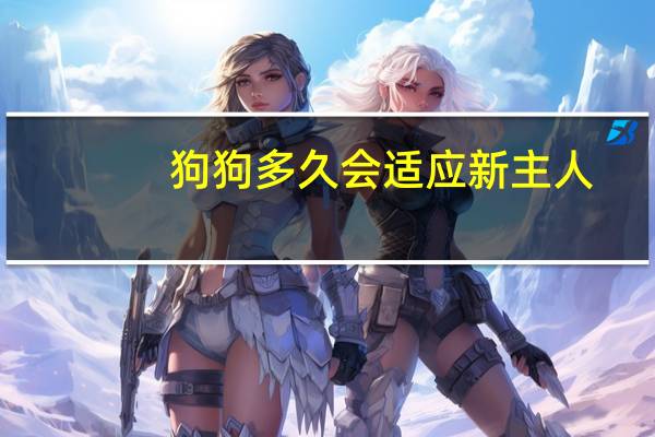 狗狗多久会适应新主人