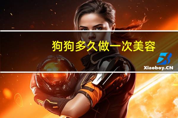 狗狗多久做一次美容