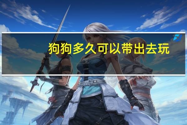 狗狗多久可以带出去玩