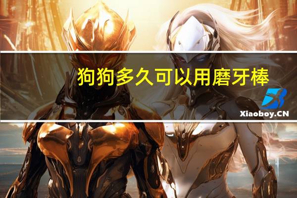 狗狗多久可以用磨牙棒
