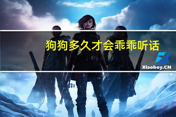 狗狗多久才会乖乖听话