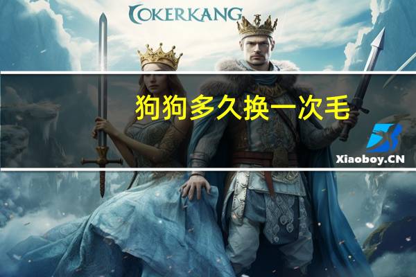 狗狗多久换一次毛