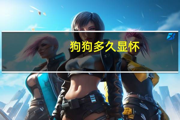 狗狗多久显怀