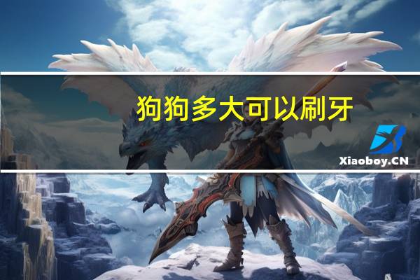 狗狗多大可以刷牙