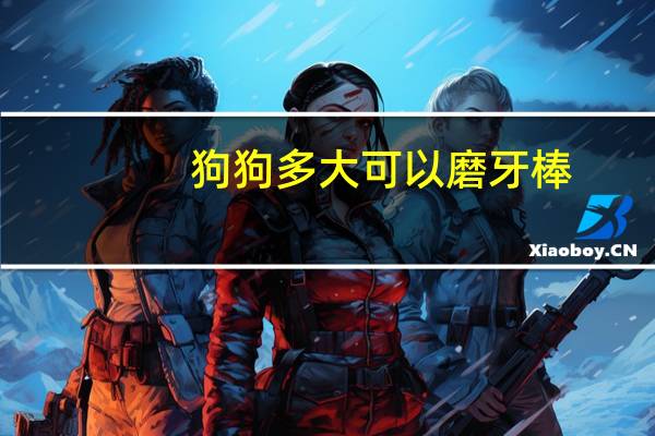 狗狗多大可以磨牙棒