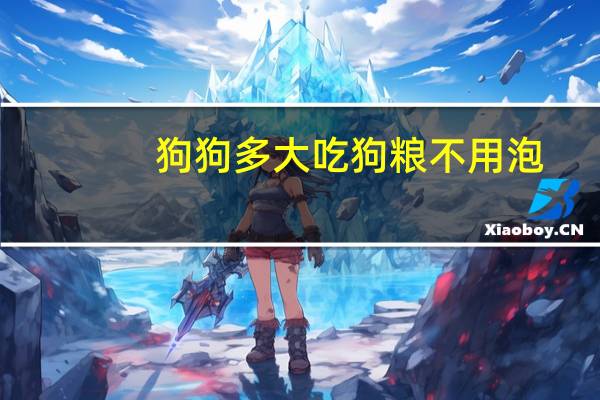 狗狗多大吃狗粮不用泡