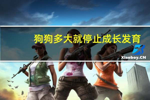 狗狗多大就停止成长发育