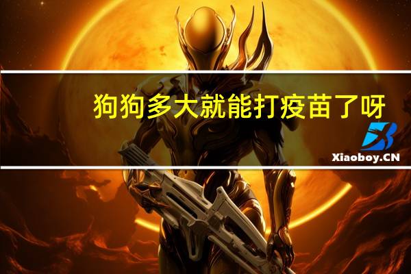 狗狗多大就能打疫苗了呀