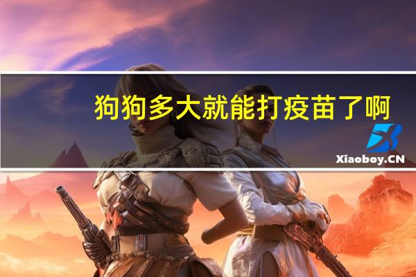 狗狗多大就能打疫苗了啊