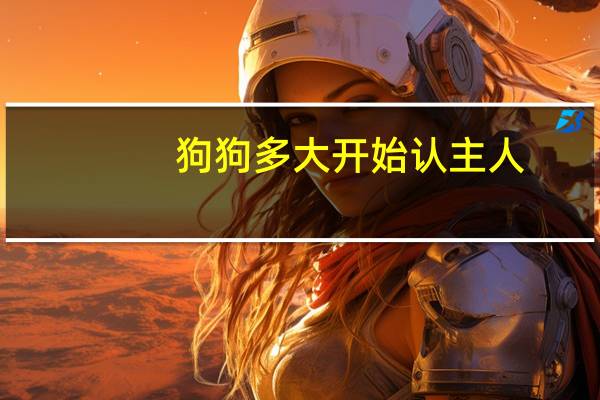 狗狗多大开始认主人