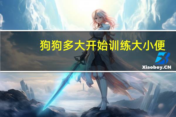 狗狗多大开始训练大小便