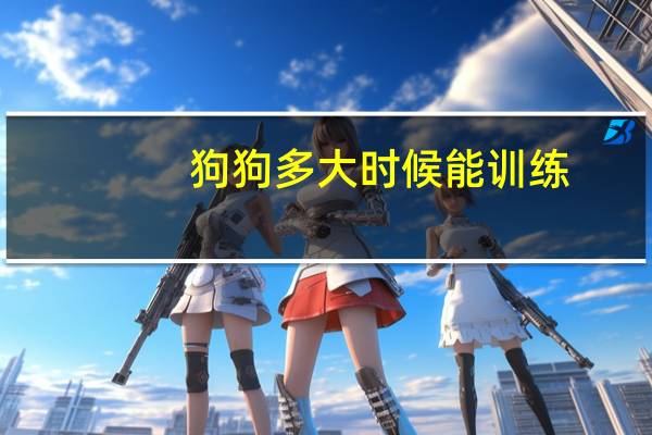狗狗多大时候能训练