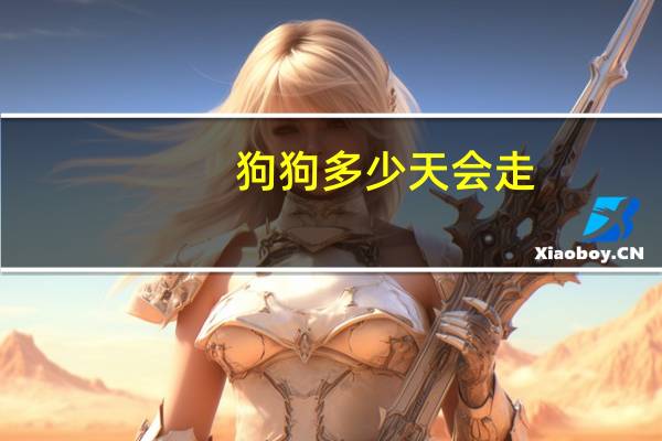 狗狗多少天会走