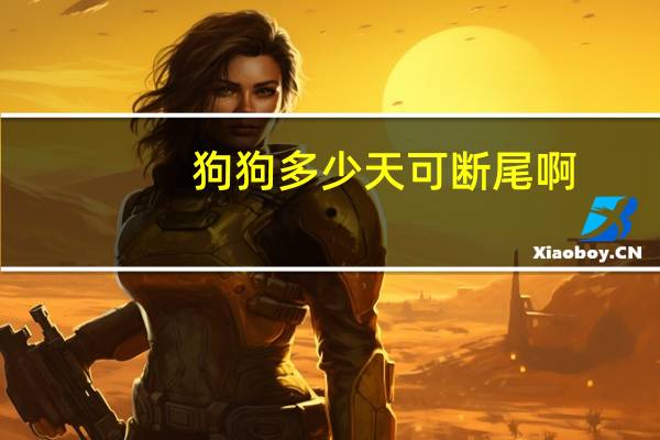 狗狗多少天可断尾啊