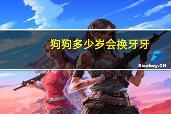 狗狗多少岁会换牙牙
