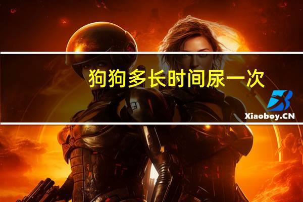 狗狗多长时间尿一次