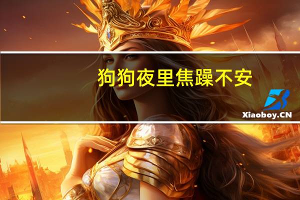 狗狗夜里焦躁不安