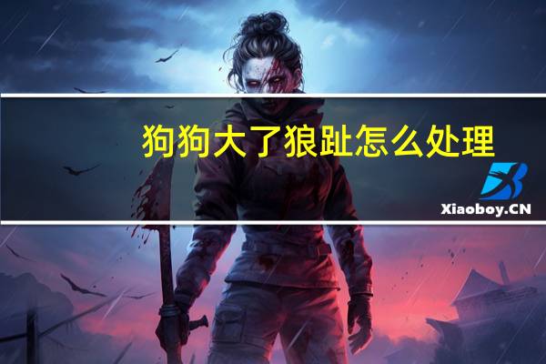 狗狗大了狼趾怎么处理