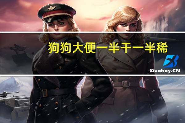 狗狗大便一半干一半稀