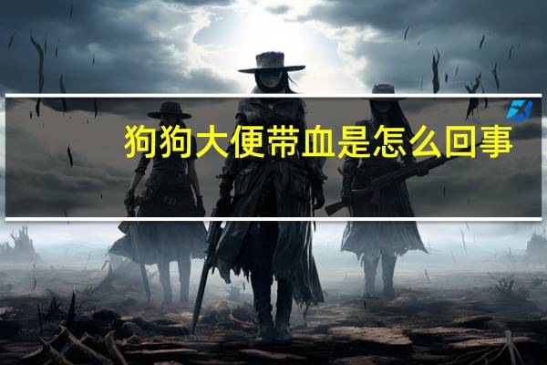 狗狗大便带血是怎么回事