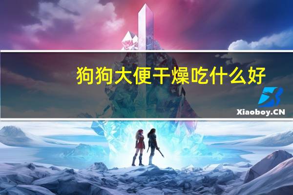 狗狗大便干燥吃什么好