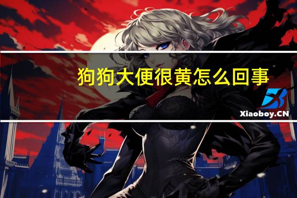 狗狗大便很黄怎么回事