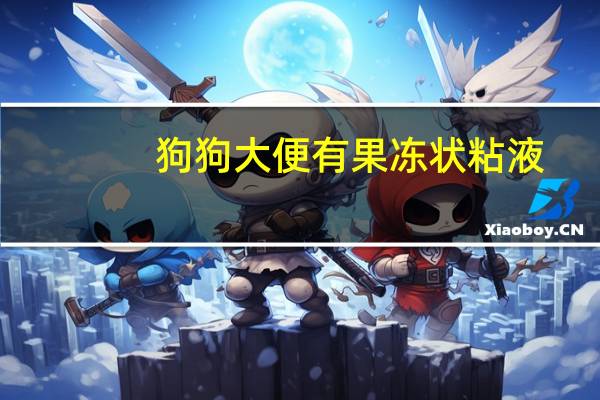 狗狗大便有果冻状粘液