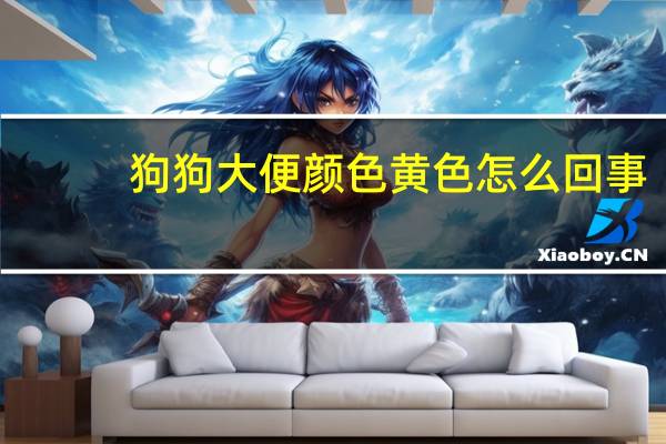 狗狗大便颜色黄色怎么回事