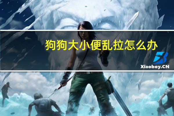 狗狗大小便乱拉怎么办