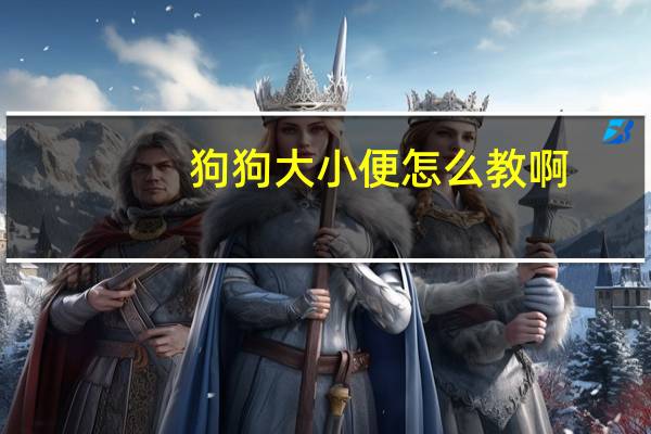 狗狗大小便怎么教啊