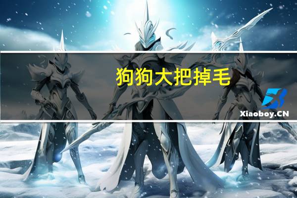 狗狗大把掉毛