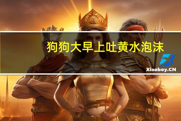 狗狗大早上吐黄水泡沫