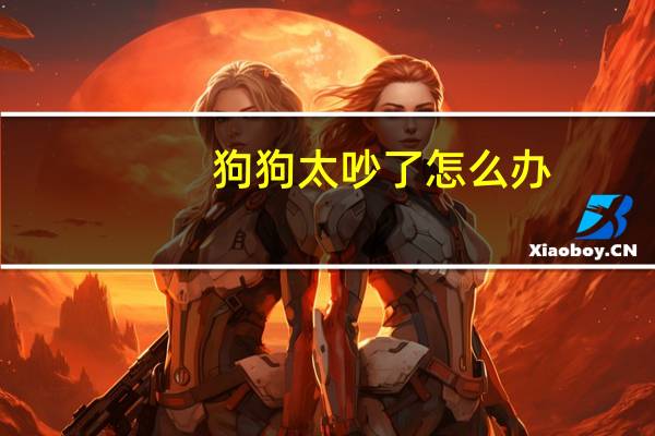狗狗太吵了怎么办