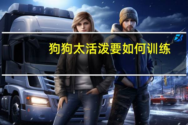 狗狗太活泼要如何训练