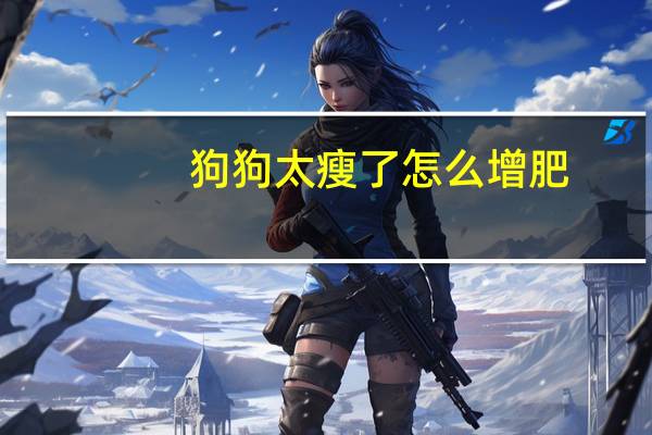 狗狗太瘦了怎么增肥