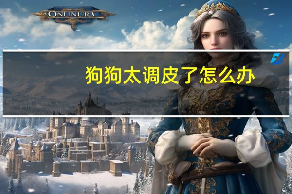 狗狗太调皮了怎么办