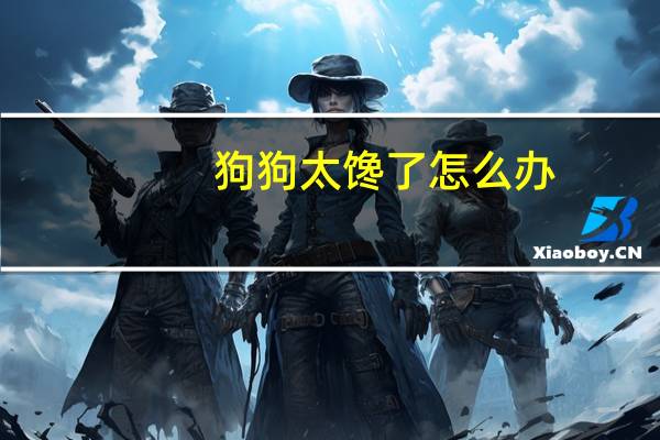 狗狗太馋了怎么办