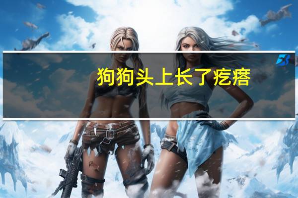 狗狗头上长了疙瘩