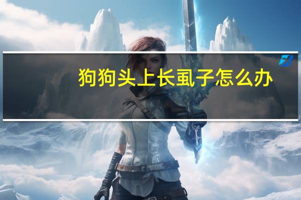 狗狗头上长虱子怎么办