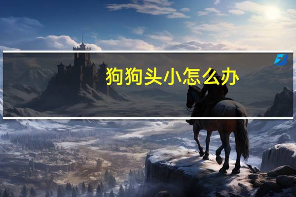 狗狗头小怎么办