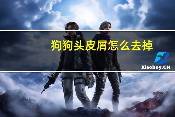 狗狗头皮屑怎么去掉