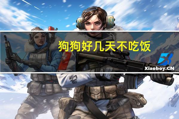 狗狗好几天不吃饭