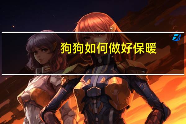狗狗如何做好保暖