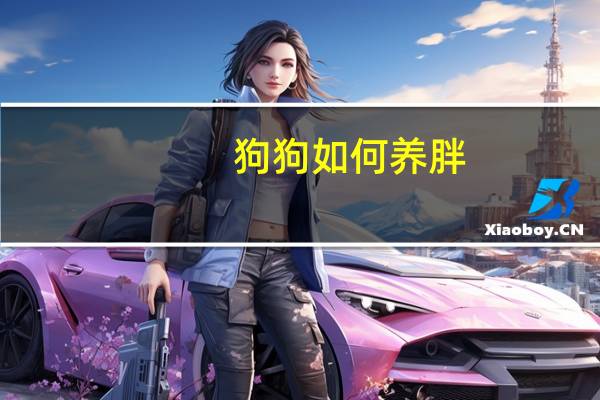 狗狗如何养胖
