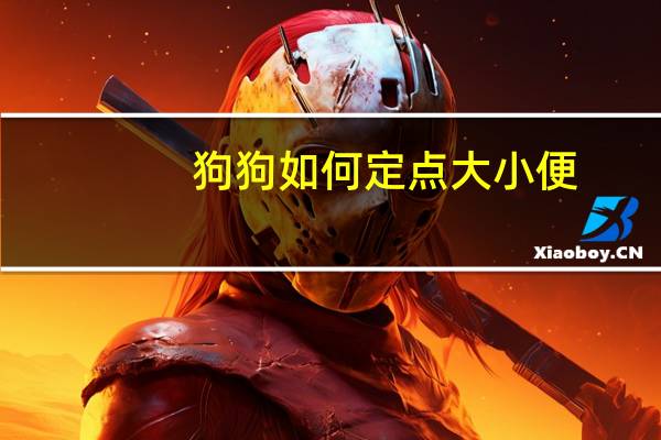 狗狗如何定点大小便
